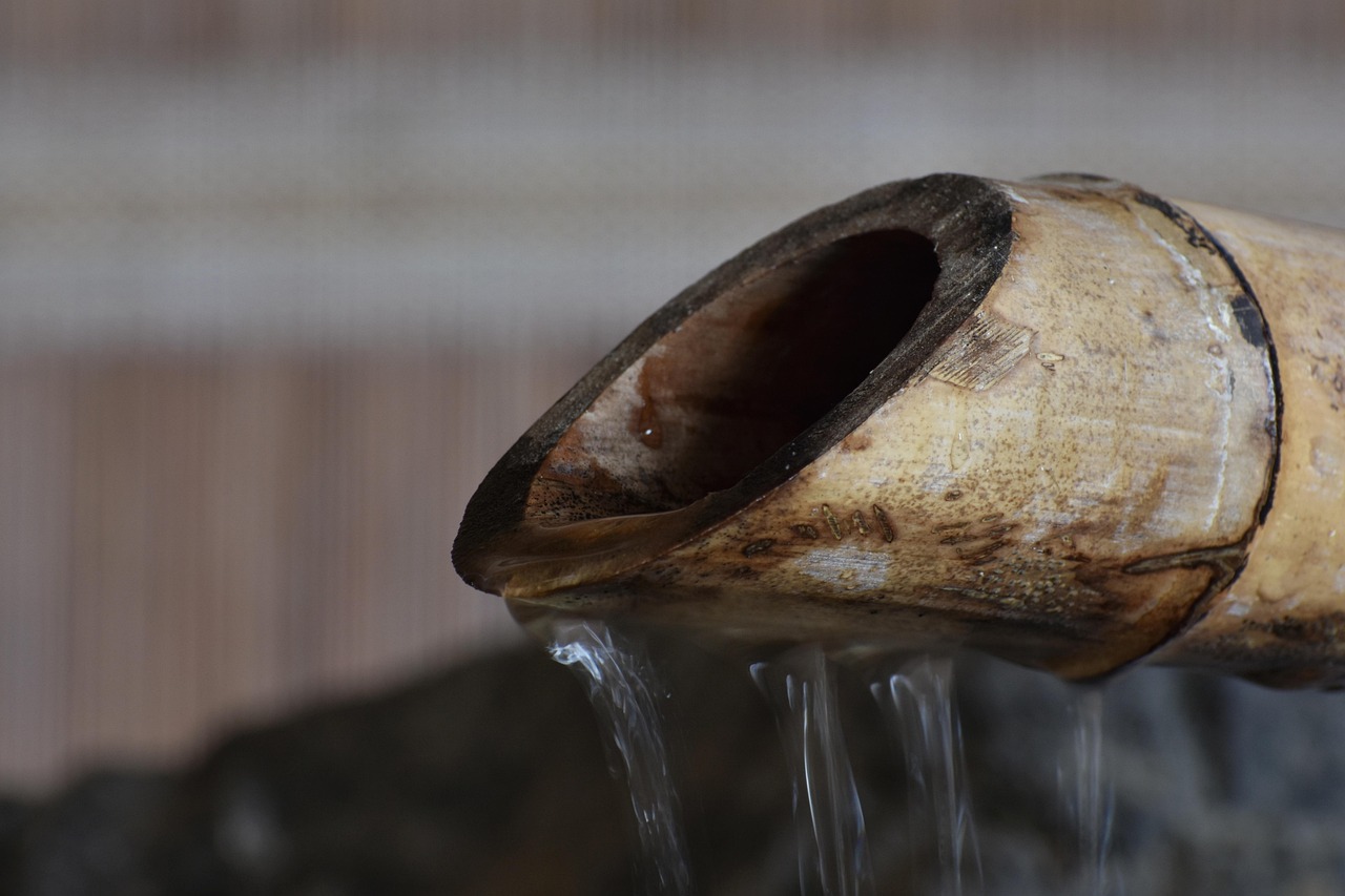 百事2娱乐，注册|通付代理注册