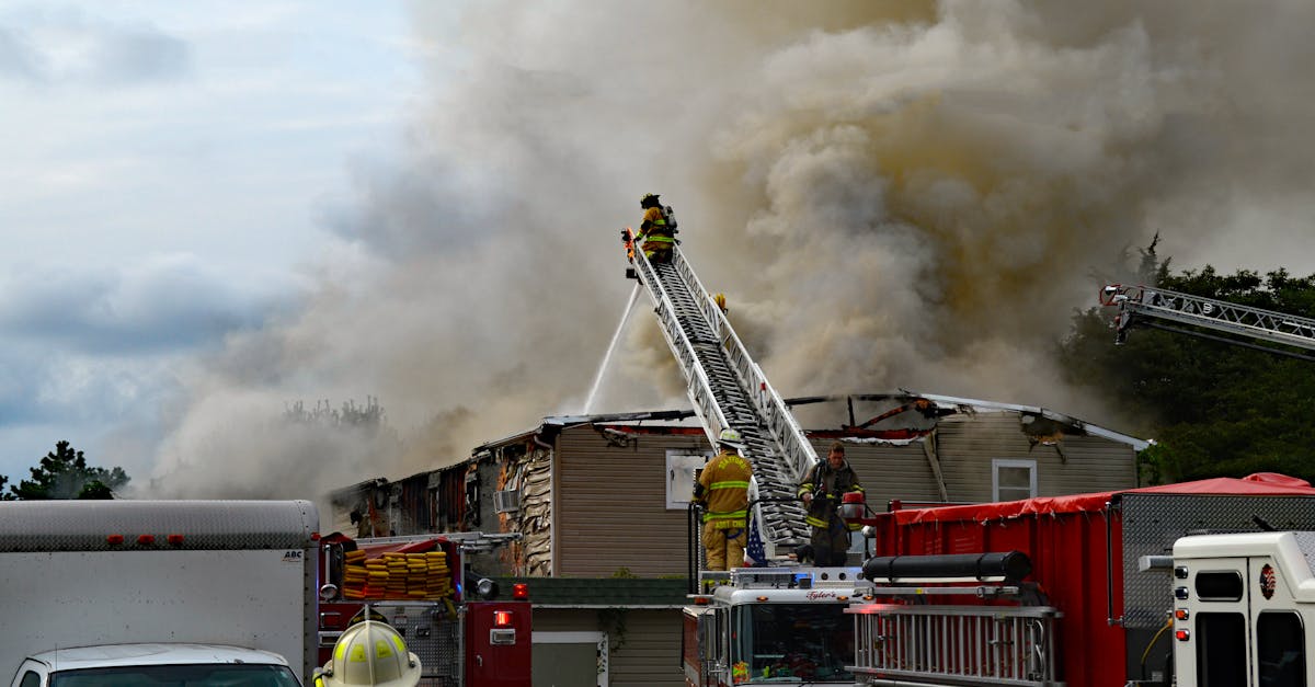 珍爱网实名账号:开代理记账平台