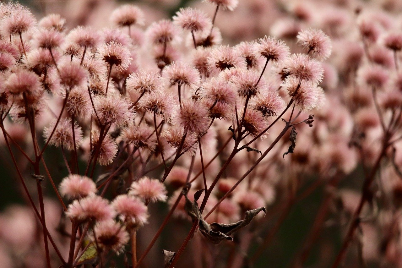 解读怎样DDOS攻击接口- 随县注册代理记账