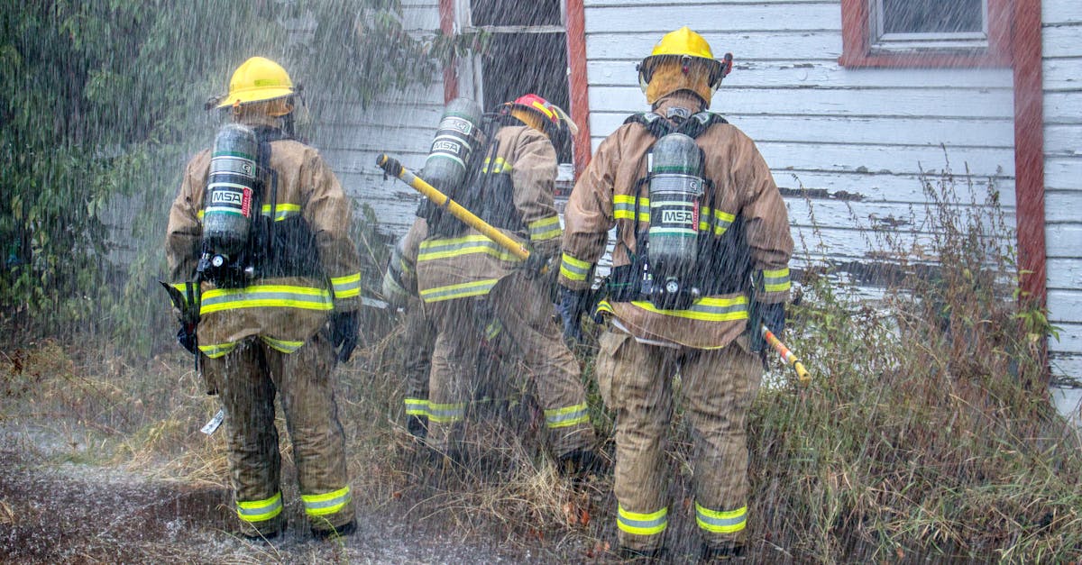 无嘴黄骆驼：吴中区工商注册代理机构