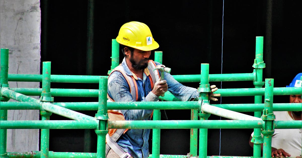 饥寒交迫下的技术支持——助推游戏内玩家成为宠物？