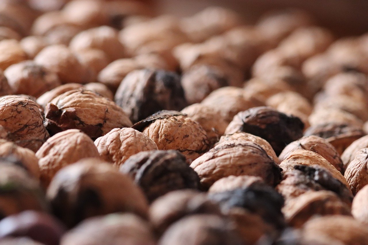 UDP攻击|代理5000万公司注册