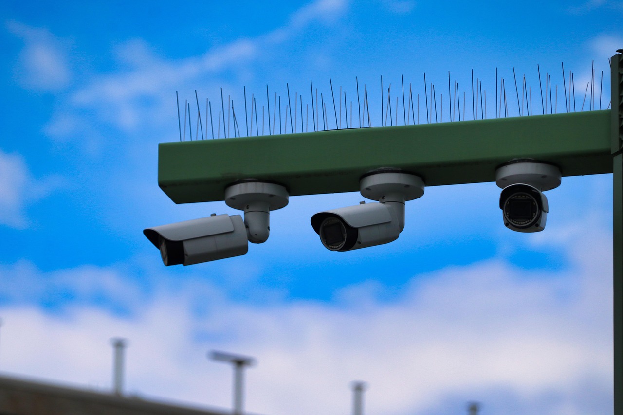 小鸟云实名账号：怎么有电子邮件账号注册