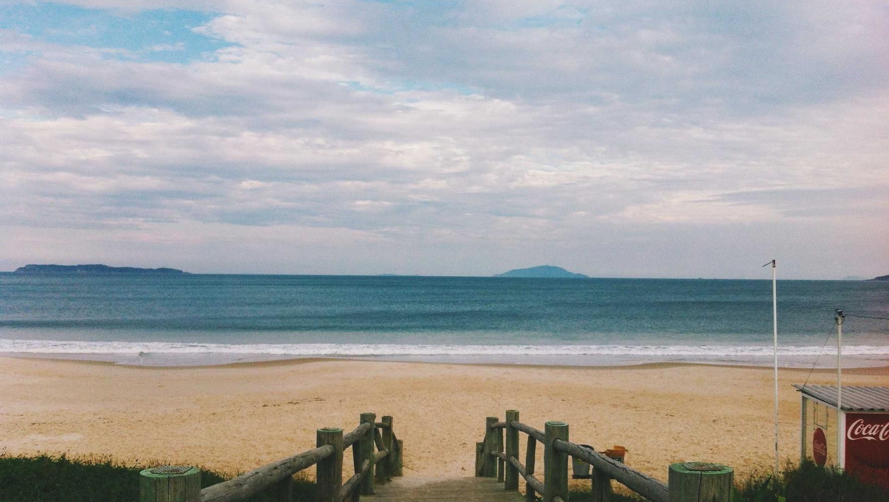 金皇朝4叶子钢琴app详情下载教程